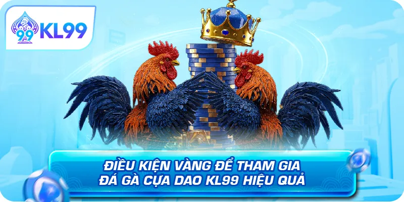 Điều kiện vàng để tham gia đá gà cựa dao KL99 hiệu quả