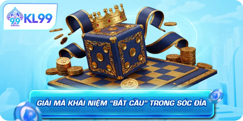 Giải mã khái niệm bắt cầu trong sóc đĩa